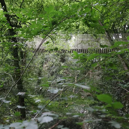 Peaceful Ardennes Getaway For 4 Guests